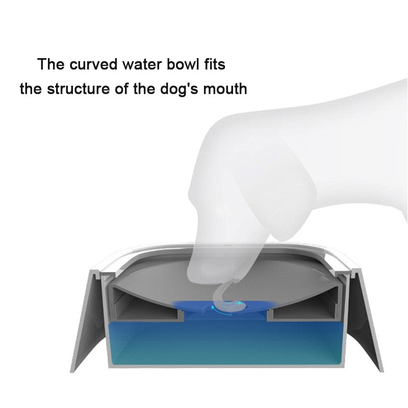 The Game-Changer in Canine Dining: No Spills, Just Thrills